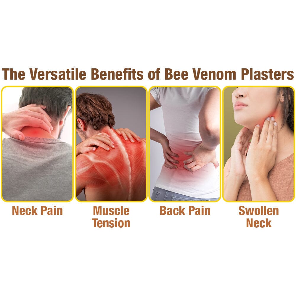 GFOUK™ HumpEase Bee Venom Smoothing Plaster